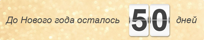 До Нового года осталось 50 дней